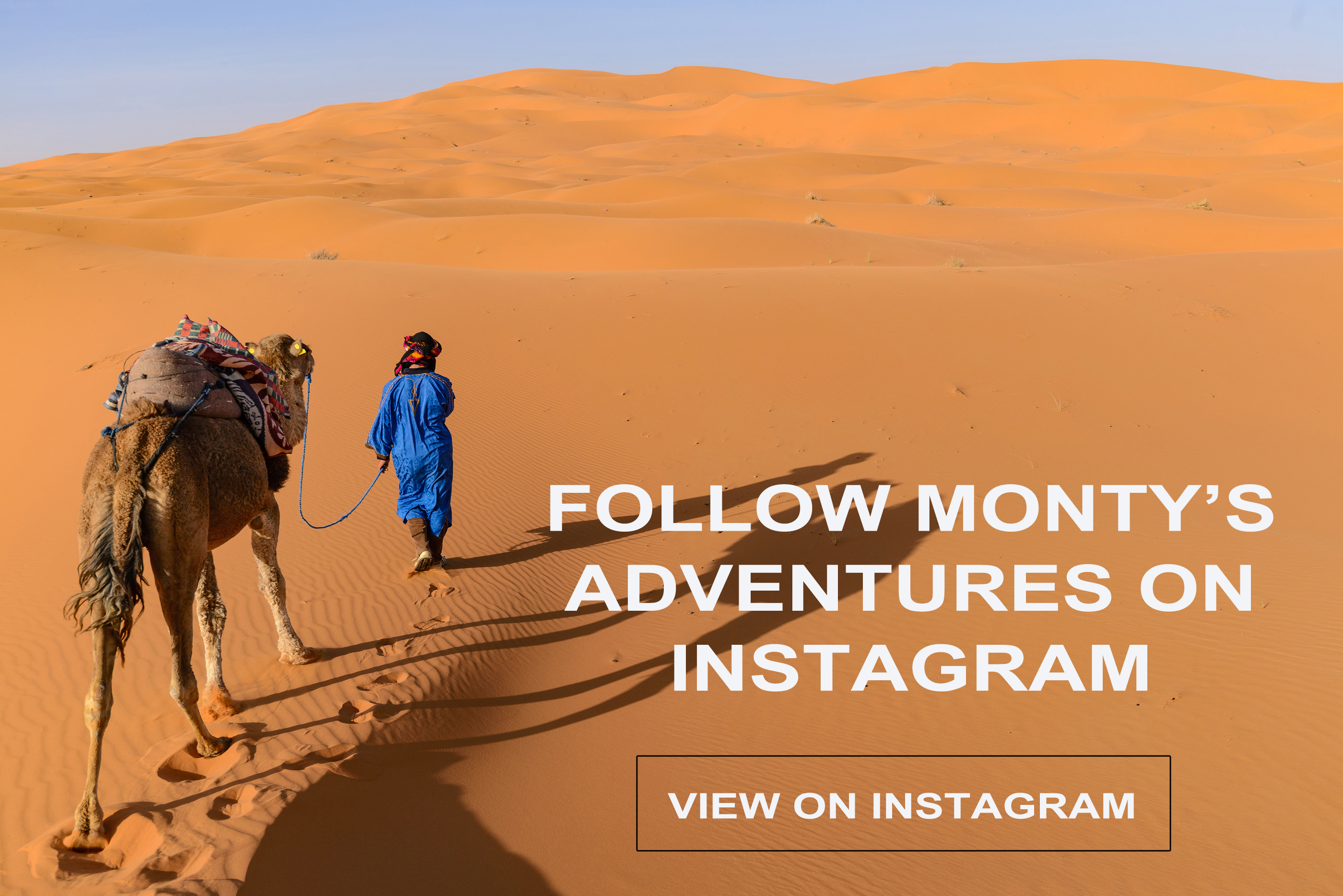 Africa, Morocco - view of Erg Chebbi Dunes - Camel excursion in sahara desert